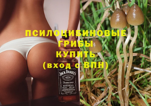 молекула духа Армянск