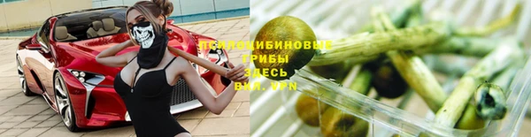 молекула духа Армянск