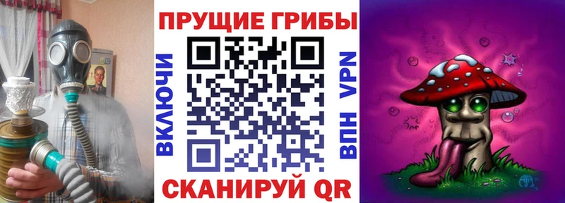 darknet официальный сайт  Карабулак  Псилоцибиновые грибы GOLDEN TEACHER 