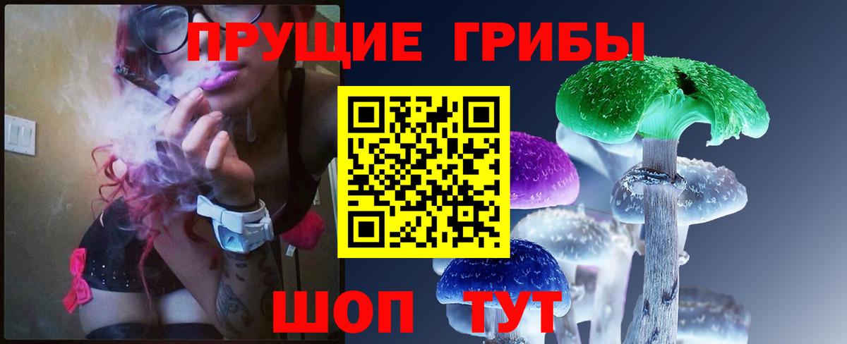 Галлюциногенные грибы Cubensis Карабулак